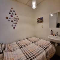 Breda, de Roy van Zuidewijnlaan, semi zelfstandige studio - foto 4