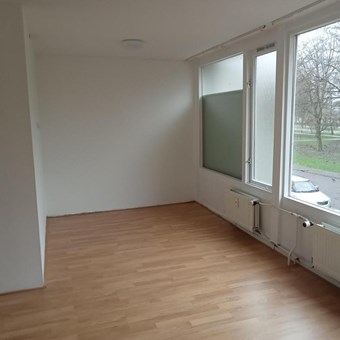 Tilburg, Haydnstraat, kamer - foto 2