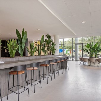 Eindhoven, Grenenhout, 2-kamer appartement - foto 3