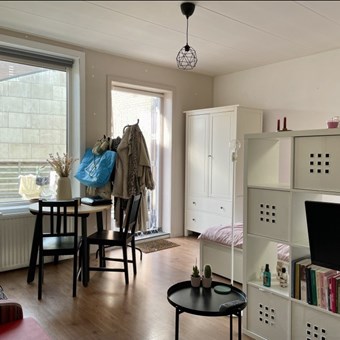 Apeldoorn, Brinklaan, zelfstandige studio - foto 2