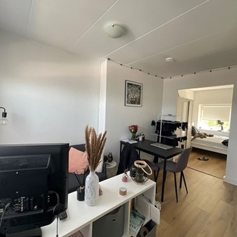 Arnhem, Johan de Wittlaan, semi zelfstandige studio - foto 2