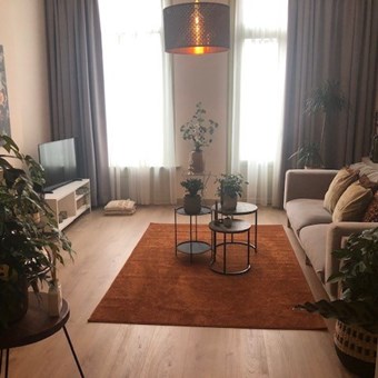 Arnhem, Betuwestraat, 2-kamer appartement - foto 3