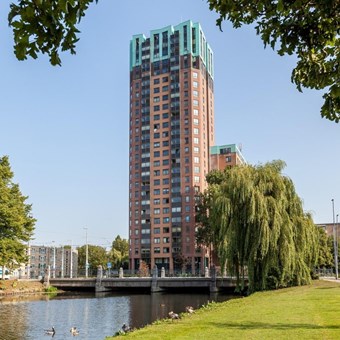 Rotterdam, Boezemsingel, 3-kamer appartement - foto 3