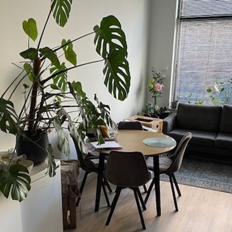 Tilburg, Poststraat, 2-kamer appartement - foto 3