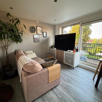 Arnhem, Graslaan, zelfstandige studio - foto 2