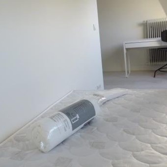 Eindhoven, Boschdijk, kamer - foto 3