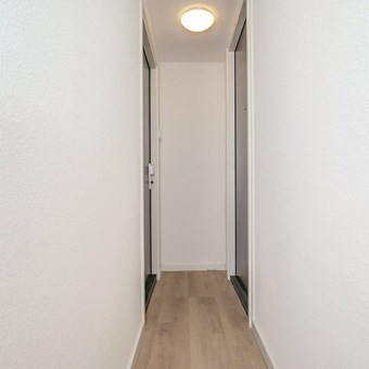 Den Bosch, Hinthamerstraat, 2-kamer appartement - foto 3