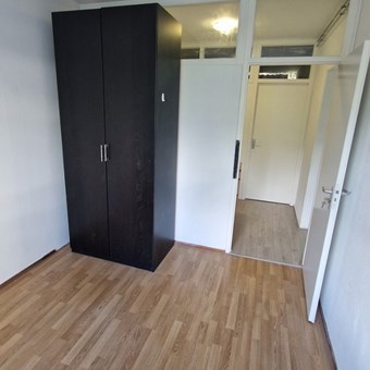 Amsterdam, Hofgeest, kamer - foto 2