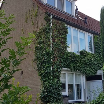 Breukelen, Silversteyn, hoekwoning - foto 3