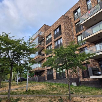 Amsterdam, Ijdoornlaan, zelfstandige studio - foto 2
