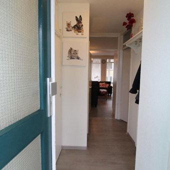 Nieuwegein, Hoornseschans, 2-kamer appartement - foto 3