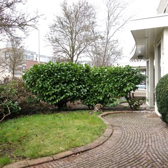 Voorhout, Anemoonstraat, eengezinswoning - foto 2