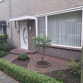Bergen op Zoom, Schaepmanlaan, 6+ kamer appartement - foto 3