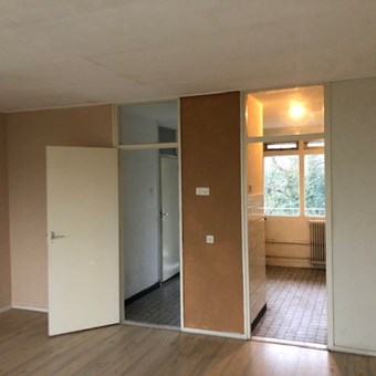 Renkum, Ketsheuvel, zelfstandige studio - foto 3