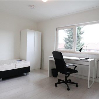 Eindhoven, Louise de Colignystraat, studentenkamer - foto 2