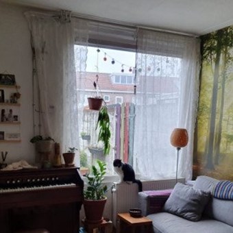 Tilburg, Jozef Israelsstraat, 2-kamer appartement - foto 2