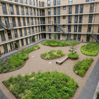 Zwolle, Nachtegaalstraat, 2-kamer appartement - foto 3