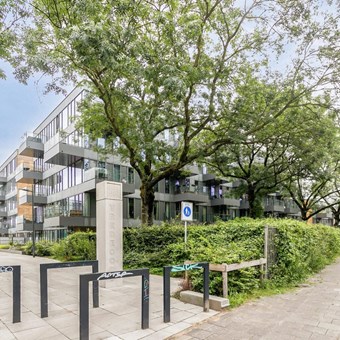 Eindhoven, Grenenhout, loft woning - foto 2