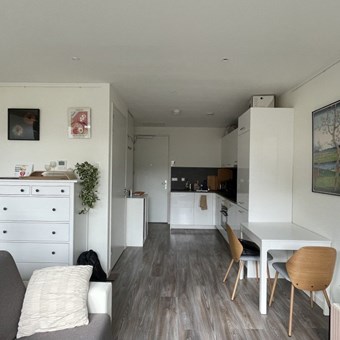 Houten, Randhoeve, zelfstandige studio - foto 3