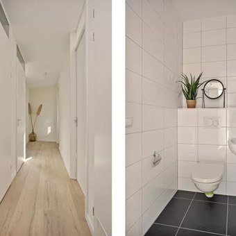 Eindhoven, Meergras, 3-kamer appartement - foto 3