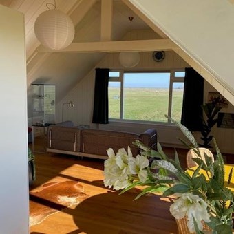 Uitdam, Rijperweg, zelfstandige studio - foto 3