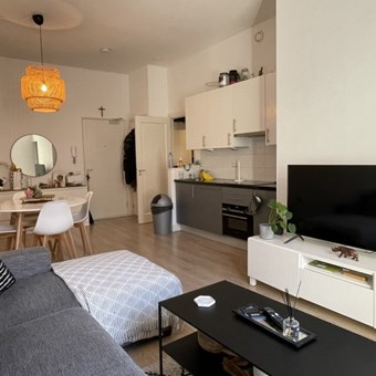 Utrecht, Drieharingstraat, 2-kamer appartement - foto 3