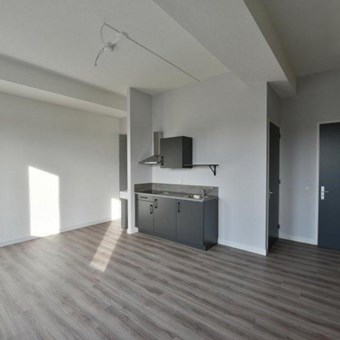 Apeldoorn, Prins Willem-Alexanderlaan, zelfstandige studio - foto 3