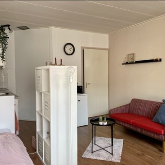 Apeldoorn, Brinklaan, zelfstandige studio - foto 3