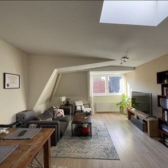 Utrecht, Drieharingstraat, 2-kamer appartement - foto 3