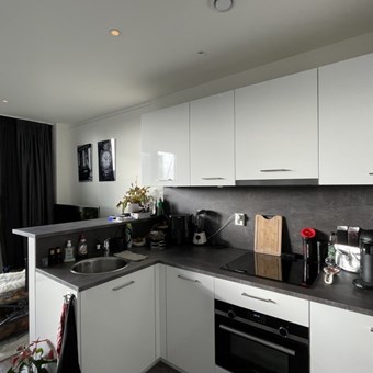 Houten, Randhoeve, zelfstandige studio - foto 2