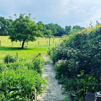 Amerongen, Kersweg, eengezinswoning - foto 3