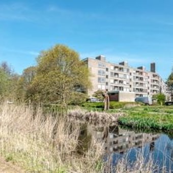 Den Haag, Parelmoerhorst, 4-kamer appartement - foto 3