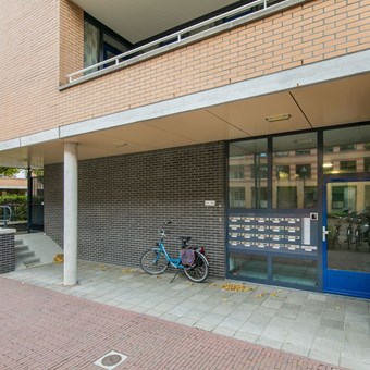 Utrecht, Hartingstraat, 4-kamer appartement - foto 3