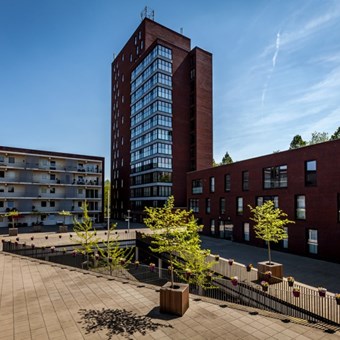 Nijmegen, Draaiom, 3-kamer appartement - foto 2