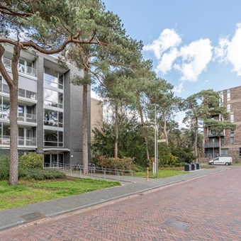 Zeist, Prinses Marijkelaan, 3-kamer appartement - foto 2