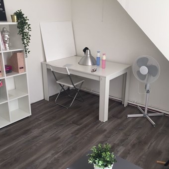 Tilburg, Ringbaan Oost, studentenkamer - foto 2