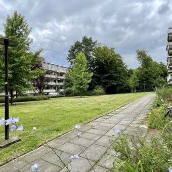 Berg en Dal, Stollenbergweg, 5-kamer appartement - foto 2