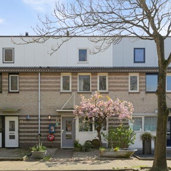 Roosendaal, Lelieberg, semi zelfstandige studio - foto 2