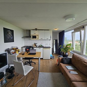 Groningen, Populierenlaan, zelfstandige studio - foto 3