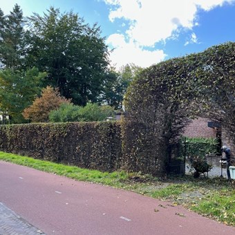 Breda, Beukenlaan, eengezinswoning - foto 2
