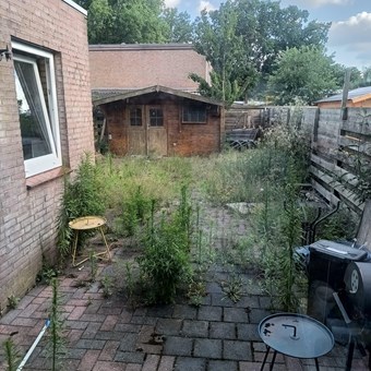 Emmen, Elkingeslag, kamer - foto 2