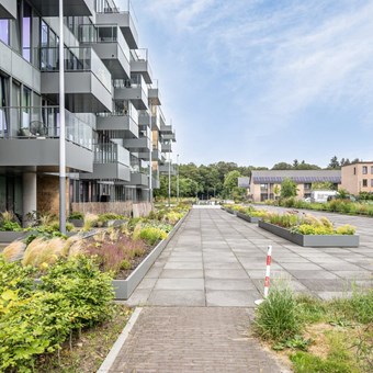 Eindhoven, Grenenhout, 3-kamer appartement - foto 2