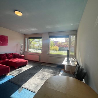 Eindhoven, Aroldo, zelfstandige studio - foto 3