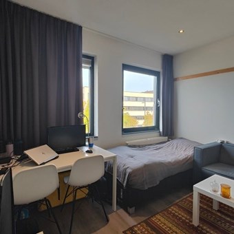 Eindhoven, Beukenlaan, zelfstandige studio - foto 3