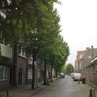 Arnhem, Agnietenstraat, kamer - foto 3