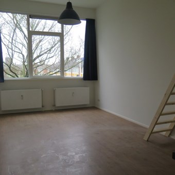 Groningen, Populierenlaan, zelfstandige studio - foto 3