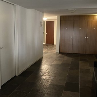 Doetinchem, Brasem, 3-kamer appartement - foto 3