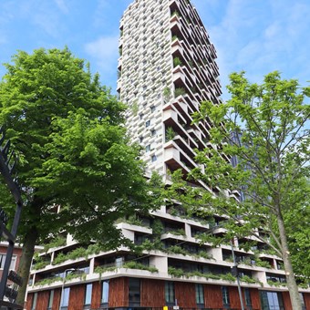 Utrecht, Hoola van Nootenstraat, zelfstandige studio - foto 2