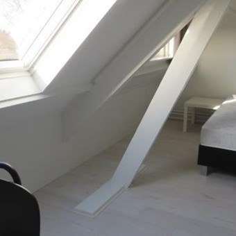 Eindhoven, Boschdijk, kamer - foto 2