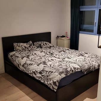 Helmond, Oostende, galerijflat - foto 2